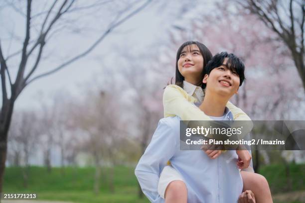 Spring Yfwr 4,226 Cherry Blossom Korea Stock Photos, High-Res Pictures, and Images ...