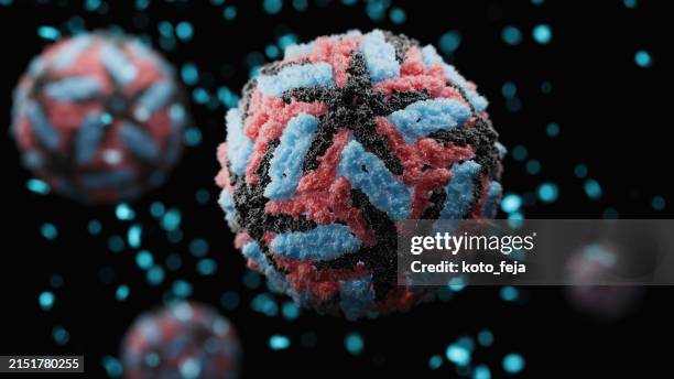 dengue virus structure - hemorragia imagens e fotografias de stock