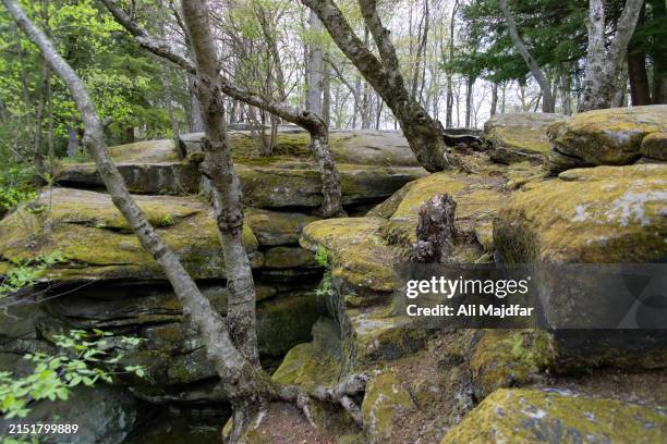 662 Fields Spring State Park Stock Photos, High-Res Pictures, and ...