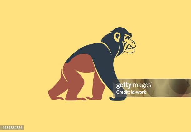 illustrations, cliparts, dessins animés et icônes de symbole de marche de chimpanzé en colère - chimpanzee aggression