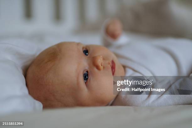 portrait of small baby lying on bed, looking up. - infertility stock pictures, royalty-free photos & images