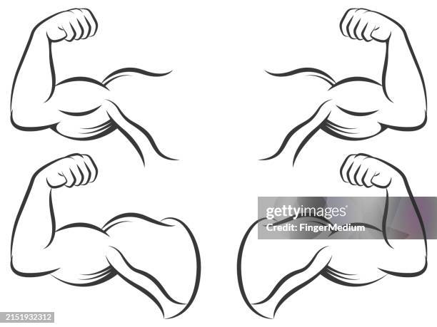 Large Muscle Vector Biceps Muscle Vector Illustration High-Res Vector Graphic - Getty Images