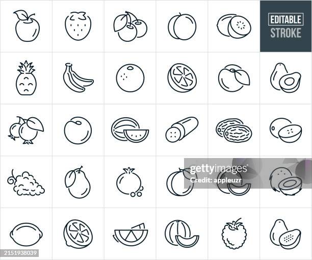 illustrazioni stock, clip art, cartoni animati e icone di tendenza di fruit thin line icons - editable stroke - cetriolo