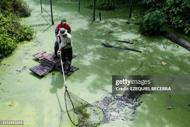 Problems Inn Costa Rica 7,608 Environmental Issues In Costa Rica Stock Photos, High-Res ...