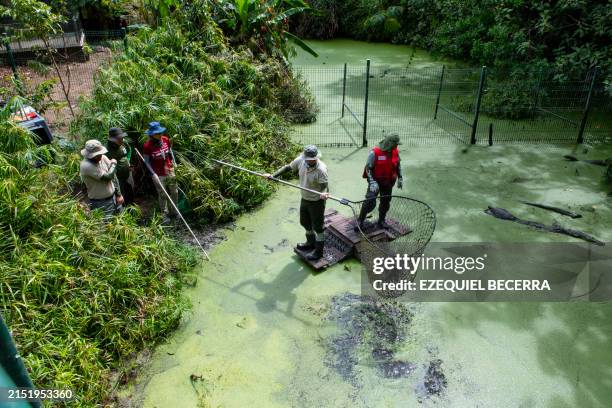 Problems Inn Costa Rica 7,608 Environmental Issues In Costa Rica Stock Photos, High-Res ...