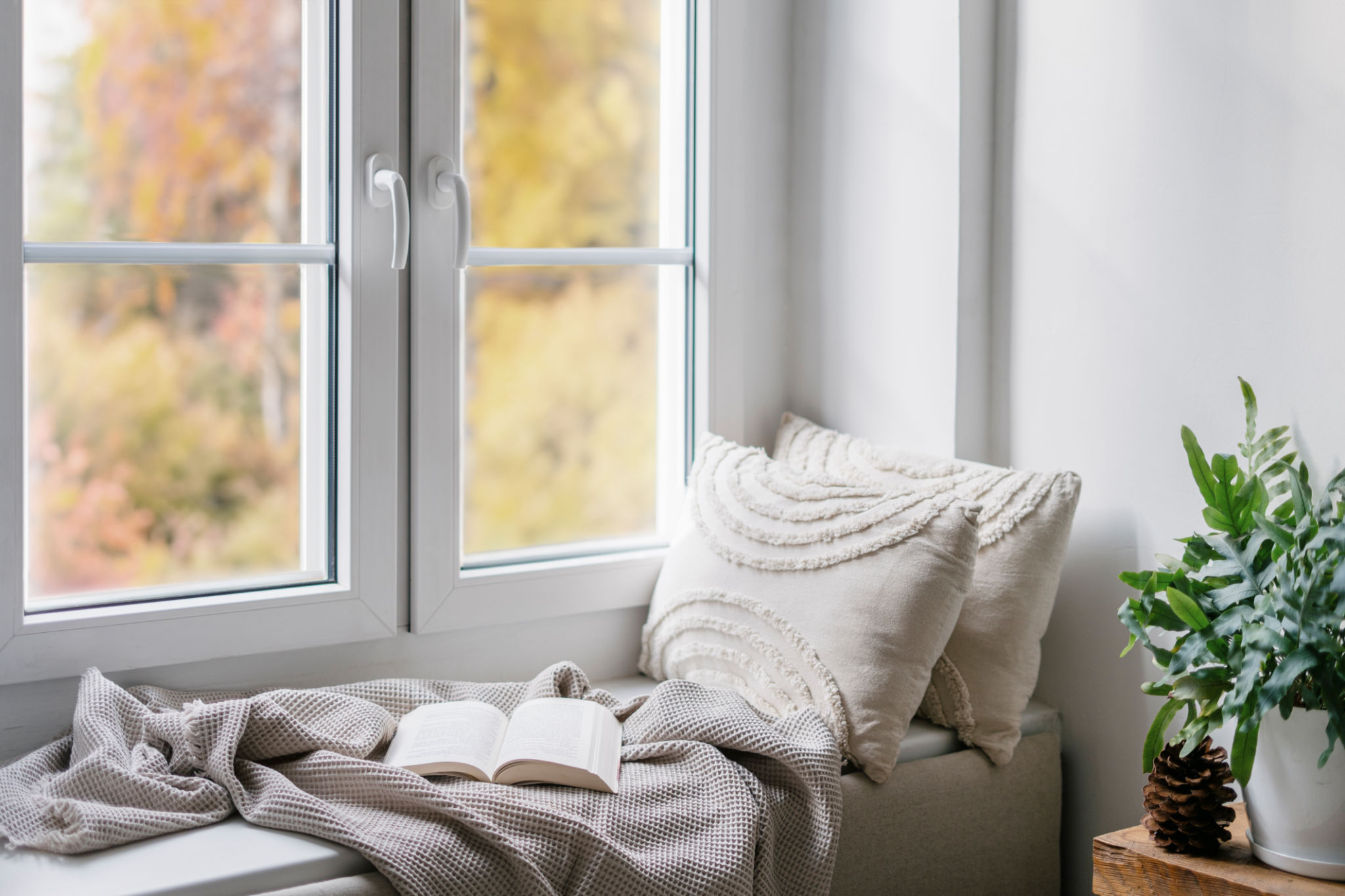 vinyl windows