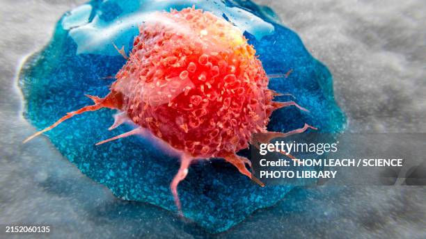 hydrogel cancer therapy, illustration - regenerative medicine stock illustrations