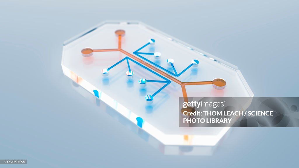 Microfluidic Device Illustration High-Res Vector Graphic - Getty Images