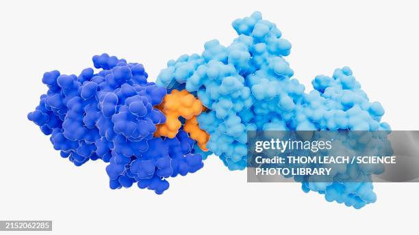 targeted protein degrader, illustration - chemotherapy stock illustrations