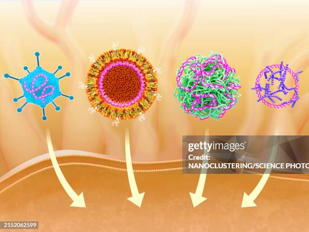 carriers for dna vaccines, illustration - immunology stock illustrations