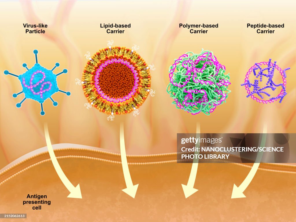 Dna Immunization Carriers For Dna Vaccines Illustration High-Res Vector Graphic - Getty ...