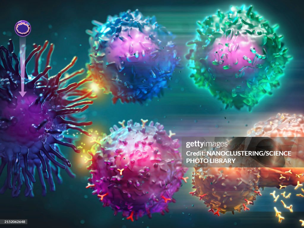 Dna Immunization Dna Vaccine Immune Response Illustration High-Res Vector Graphic ...