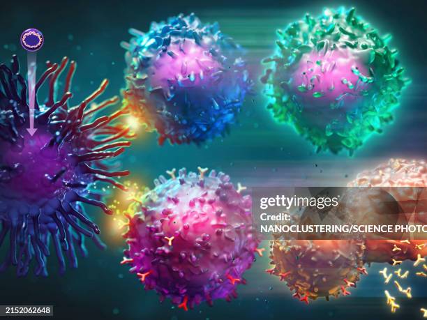 dna vaccine immune response, illustration - plasma cell stock illustrations