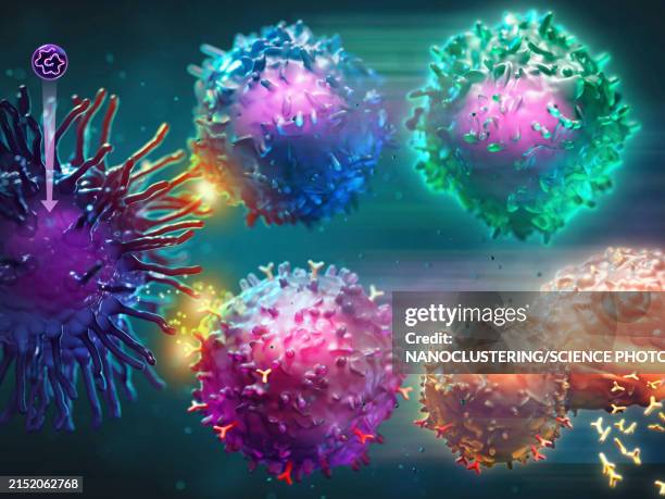 Mrna Vaccine Immune Response Illustration High-Res Vector Graphic ...