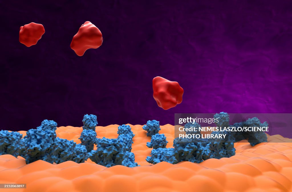 Opioid molecules and GABA receptors, illustration