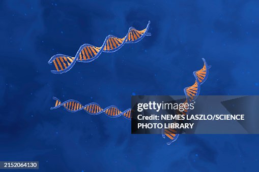 DNA molecules, illustration DNA molecules, illustration