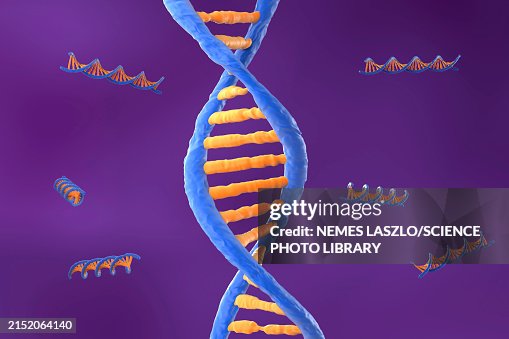 DNA molecules, illustration DNA molecules, illustration