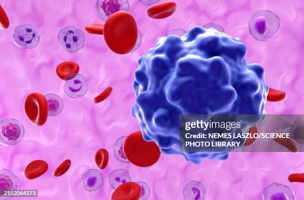 B19 Inside 157 B19 Stock Photos, High-Res Pictures, and Images - Getty Images