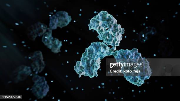 antibody immunoglobulin - antikörper stock-fotos und bilder