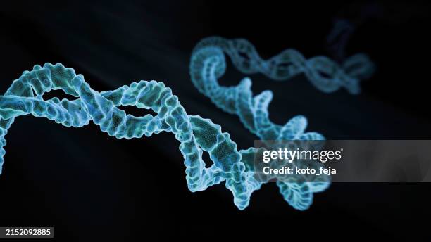 dna helix - aumento a gran escala fotografías e imágenes de stock