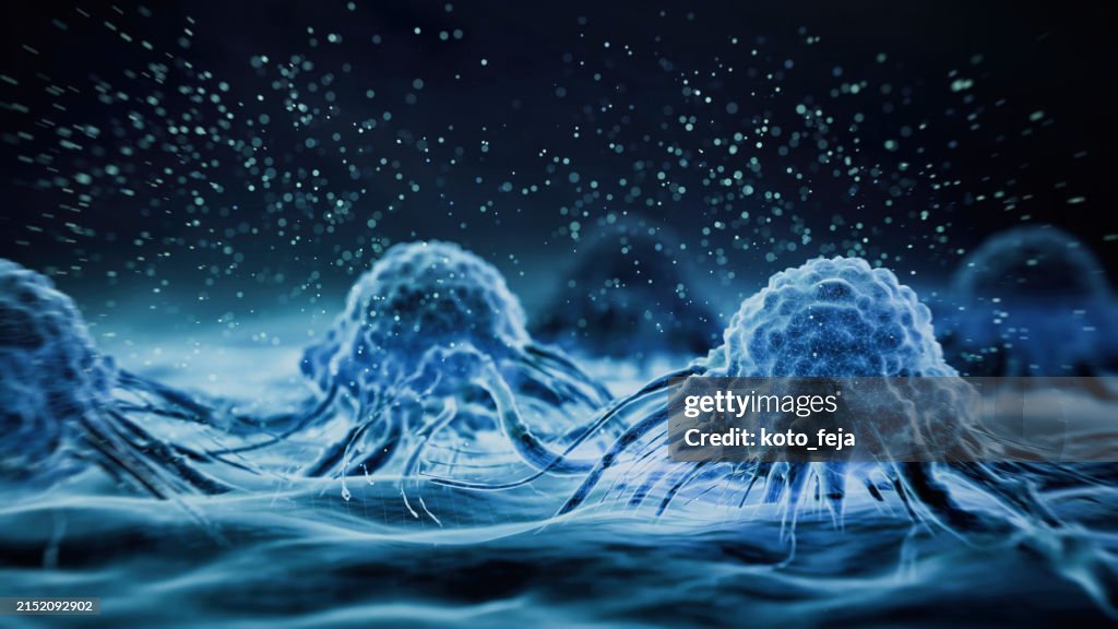 Cancer cell view