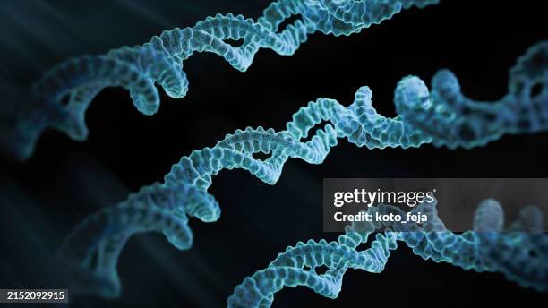 dna helix - rna stock pictures, royalty-free photos & images