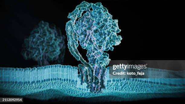 atp synthase protein - adenosine triphosphate stock pictures, royalty-free photos & images