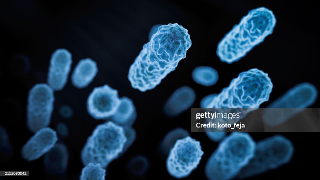 Abs Lactobacillus Bulgaricus Bacteria