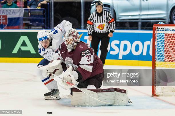 Edouard Riga 63 Elvis Foto Stock Photos, High-Res Pictures, and Images - Getty Images