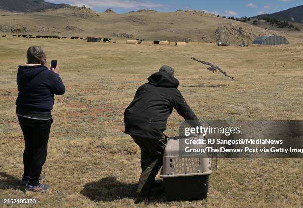 Paula Brown staff members with Birds of Prey Rehab Center, left, takes a video as rancher Dave Gottenborg releases one of two juvenile bald eagles at...