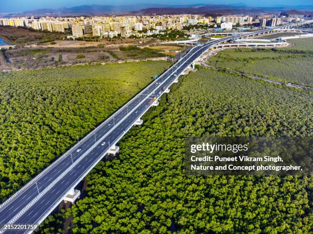 mthl or mumbai trans harbour link / atal bihari vajpayee sewri nhava sheva atal setu, a 6 lane elevated highway bridge connecting mumbai with navi mumbai it's satellite city is a longest sea bridge in india. the skyline of ulwe is visibly seen at top. - swamp stock pictures, royalty-free photos & images