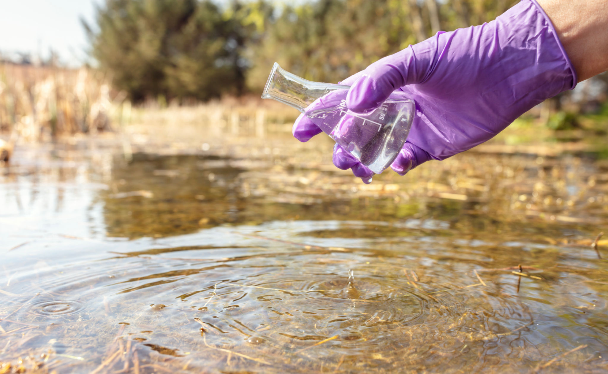 water quality testing