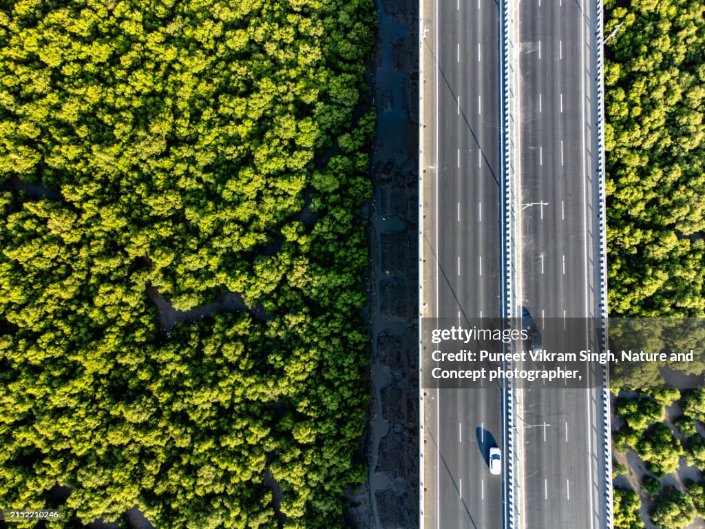 Progress and preservation in conflict: A newly built highway cuts through a mangrove forest
Mumbai Trans Harbour Link / Atal Bihari Vajpayee Sewri Nhava Sheva Atal Setu, a 6 lane elevated highway bridge connecting Mumbai with Navi Mumbai