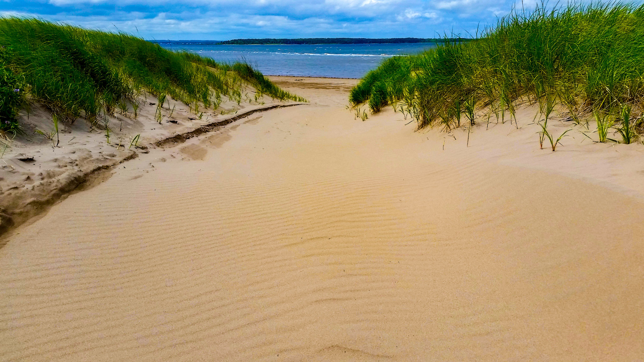 parlee beach
