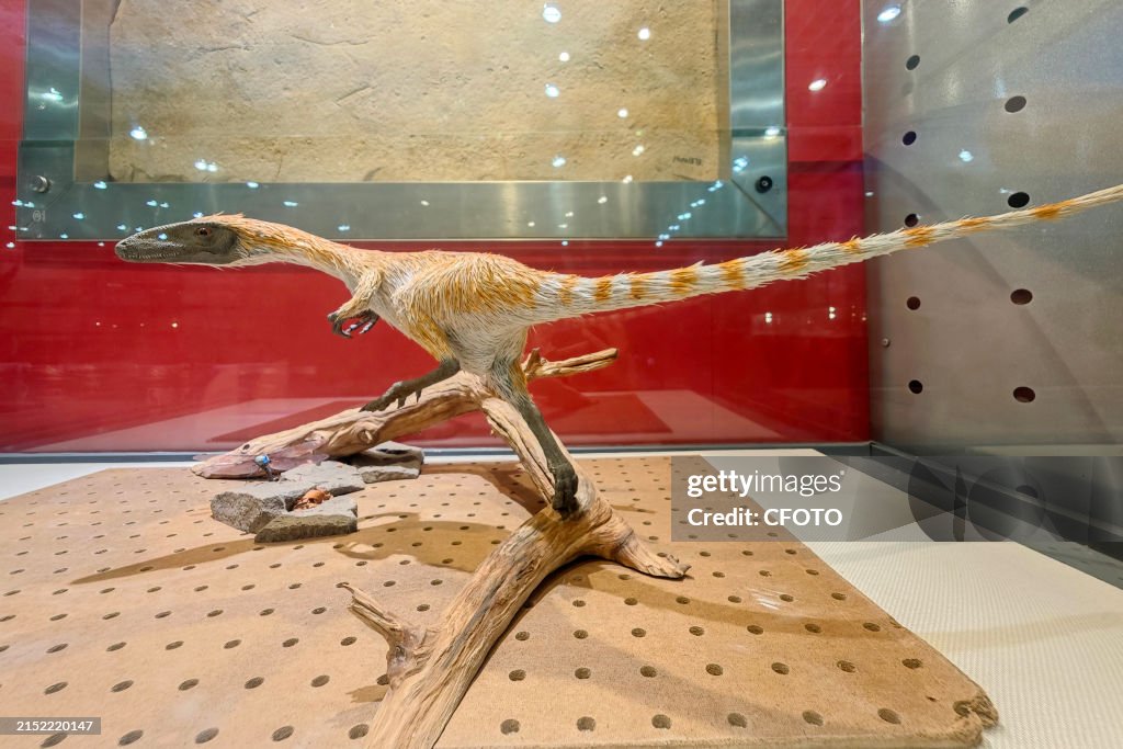 China Became The World's Largest Number of Dinosaur Species
