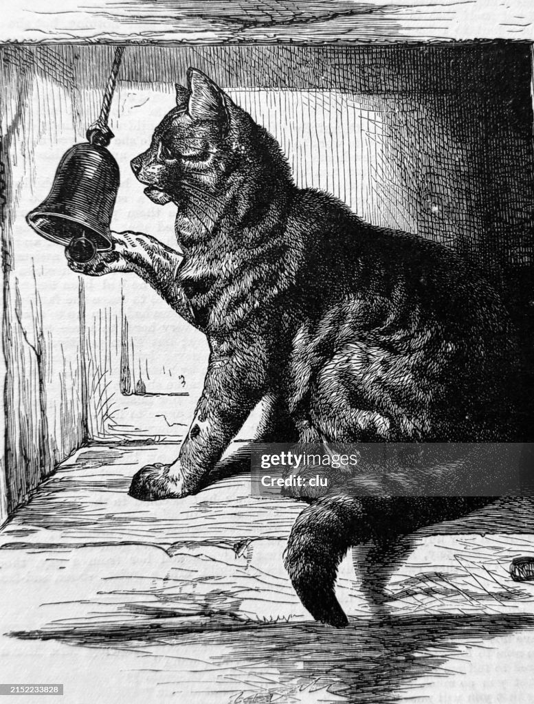 Kitty Ringing A Bell Cat Ringing The Bell High-Res Vector Graphic - Getty Images