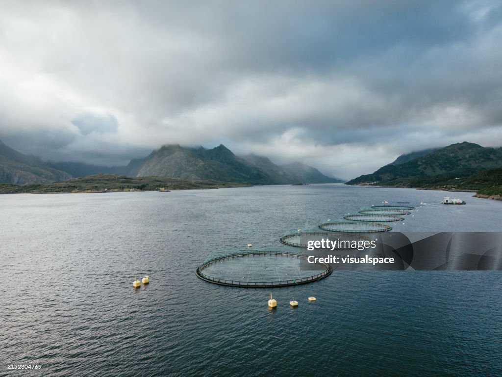 Vue par drone d’une ferme de pêche dans le nord de la Norvège