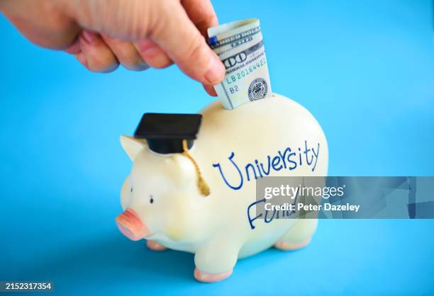 cost of college/university education piggy bank - college tuition stock pictures, royalty-free photos & images