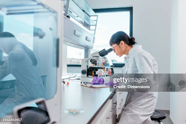wissenschaftlerin schaut durch das mikroskop und schreibt ihre entdeckungen auf - mikroskop stock-fotos und bilder