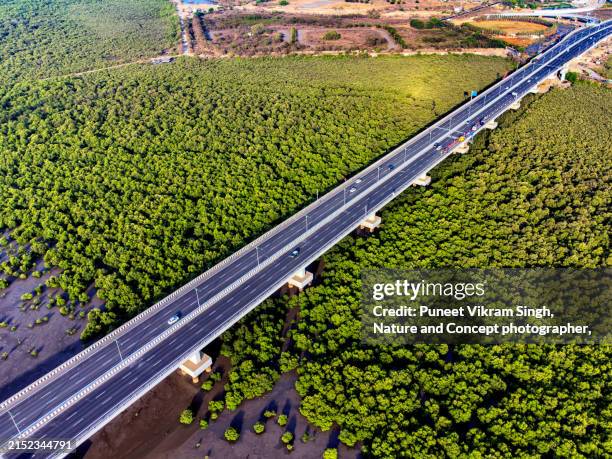 progress and preservation in conflict: a newly built highway cuts through a mangrove forestmumbai trans harbour link / atal bihari vajpayee sewri nhava sheva atal setu, a 6 lane elevated highway bridge connecting mumbai with navi mumbai - swamp stock pictures, royalty-free photos & images