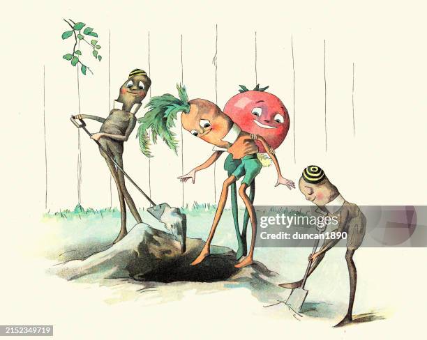 fairy tale, magical creatures, carrot, tomato, runner bean, men, the vege-men's revenge, children's book illustration, florence k upton, 1890s - chromolithograph stock illustrations