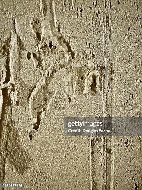 Putty Texture Photo Frame 199 Putty Wall Texture Stock Photos, High-Res Pictures, and Images ...