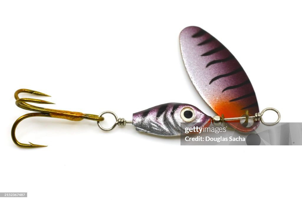 Artificial minnow with hook for fishing