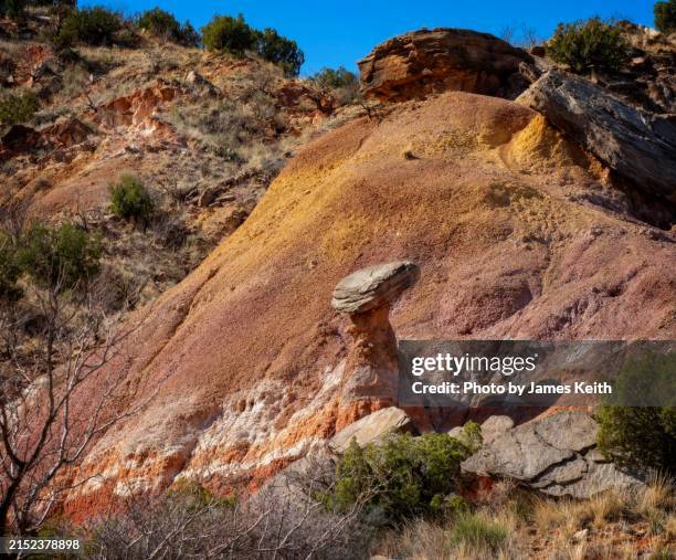 Austin Texas Rocks 9,323 Texas Rocks Stock Photos, High-Res Pictures, and Images - Getty ...