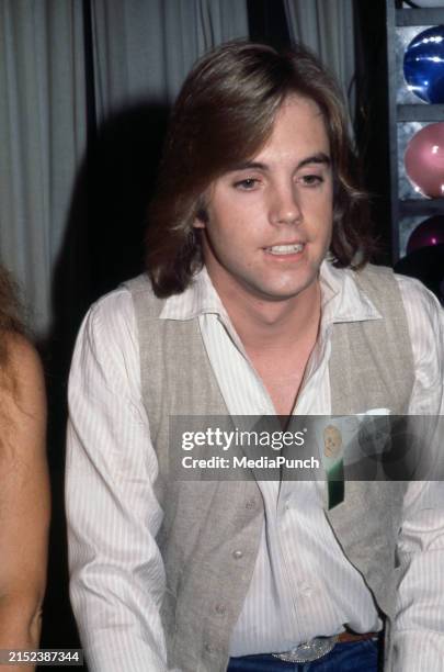 112 Shaun Cassidy 1978 Stock Photos, High-Res Pictures, And Images - Getty Images