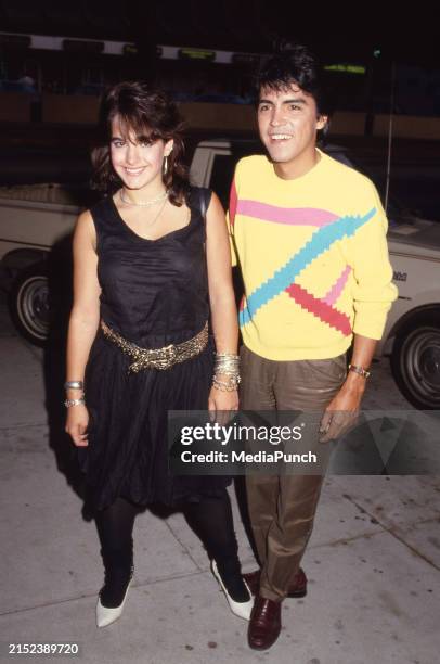 133 Danielle Brisebois 1983 Stock Photos, High-Res Pictures, and Images