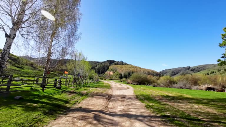 Rustic Ravines 40 A Ravine By A Fence Stock Videos, Footage, & 4K Video Clips - Getty ...