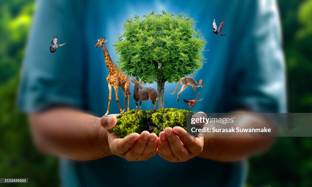 Renewable energy concept Earth Day or environment protection Hands protect forests that grow on the ground and help save the world.