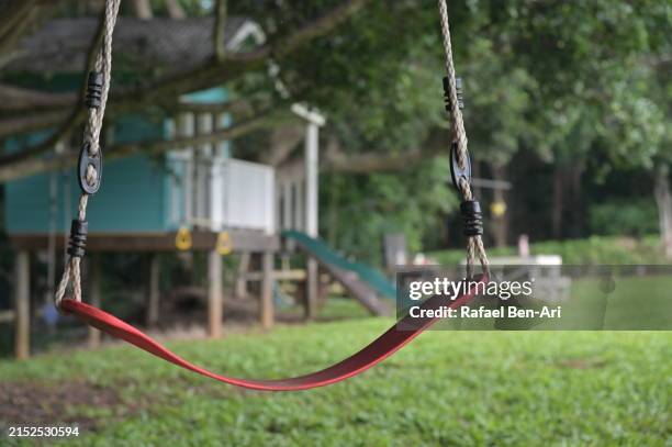tree swing in home backyard - rope swing stock pictures, royalty-free photos & images