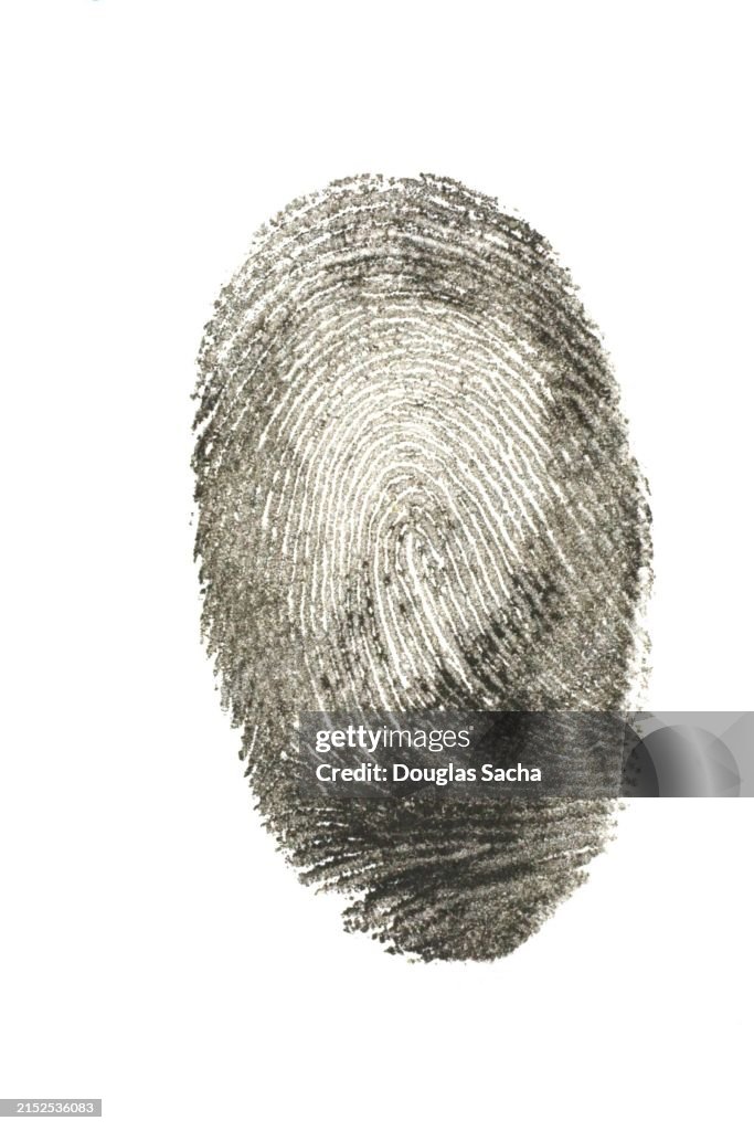 Fine details in a ink fingerprint